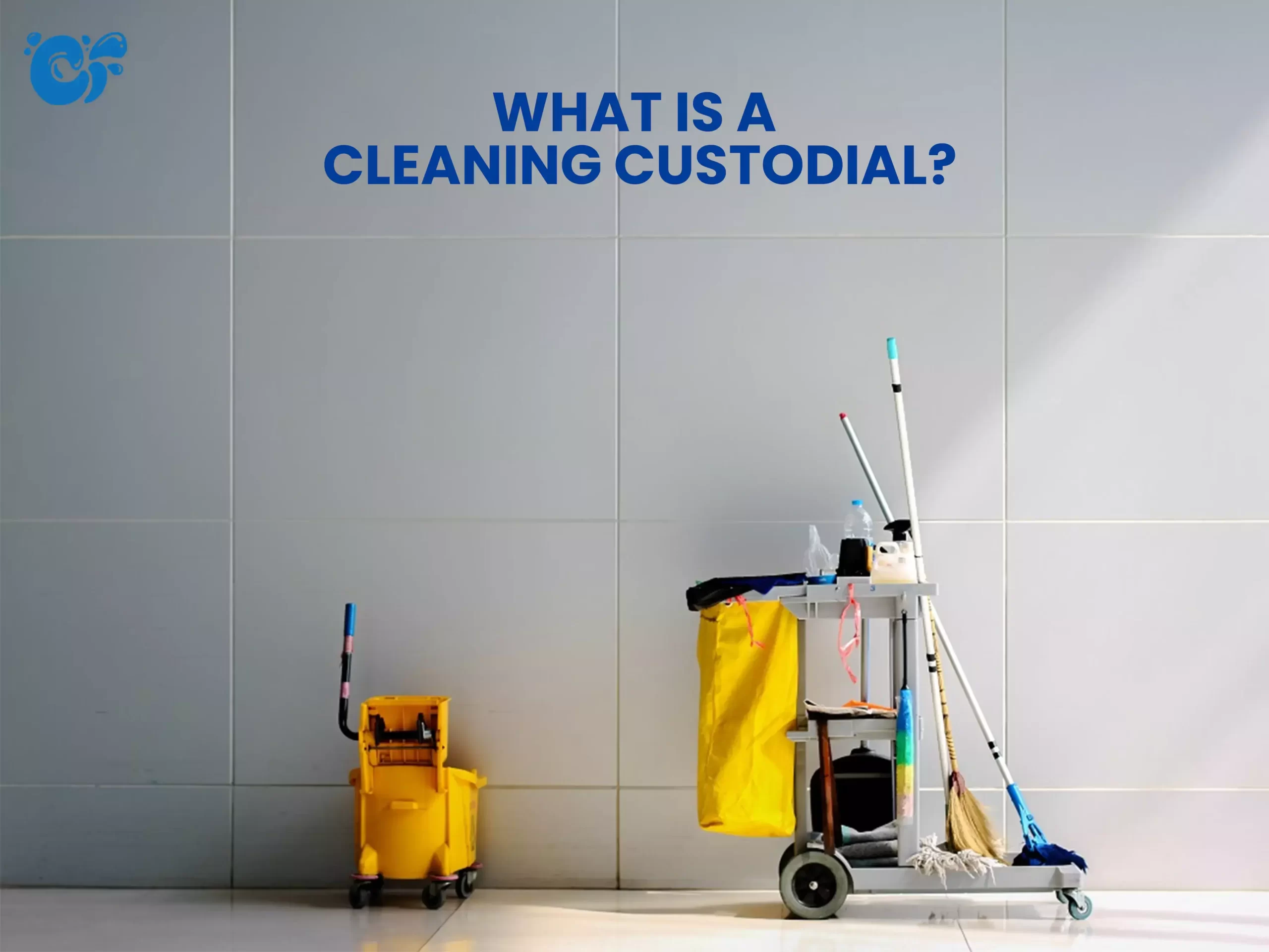 What Is A Cleaning Custodial?