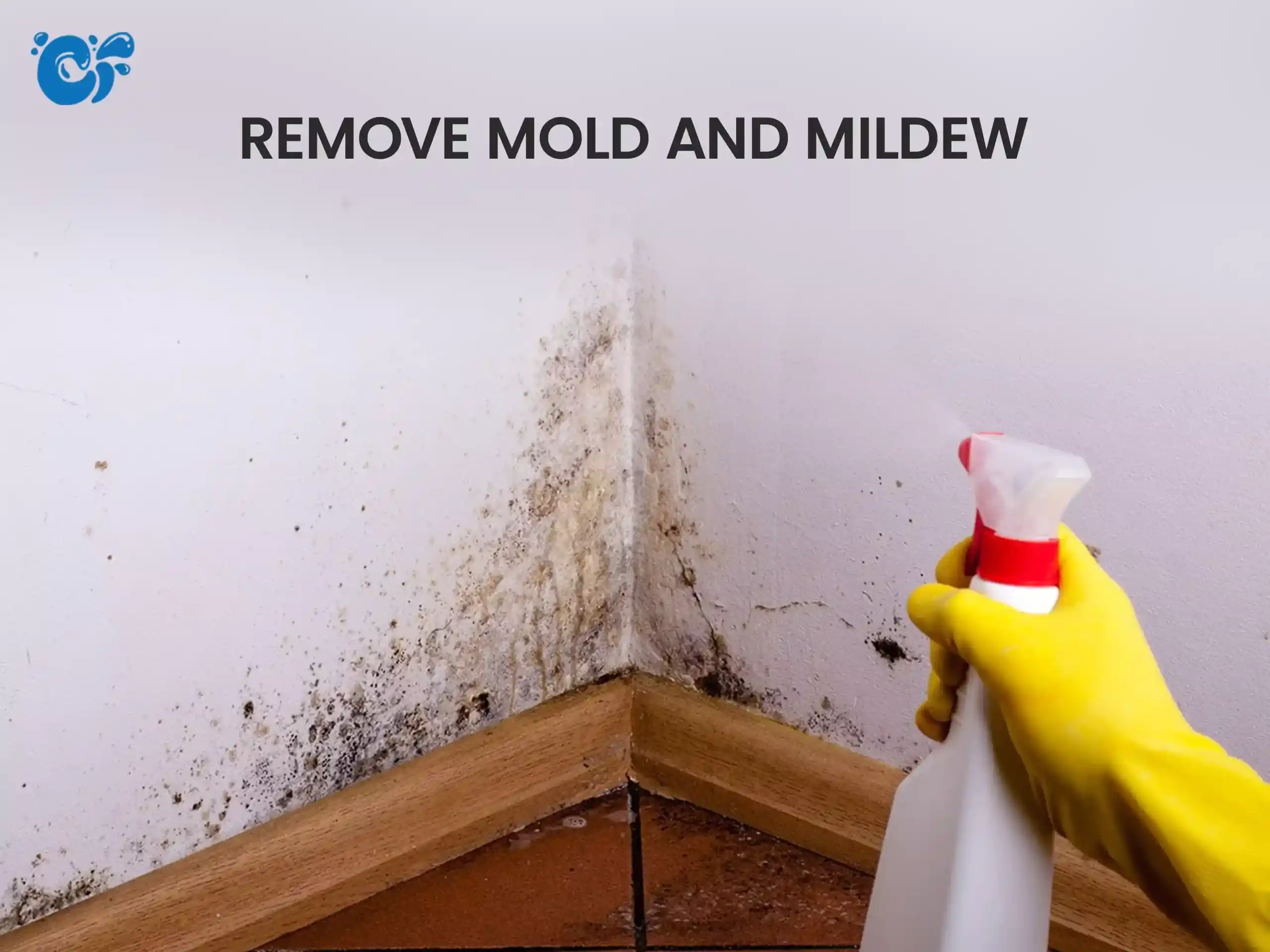 Remove Mold and Mildew