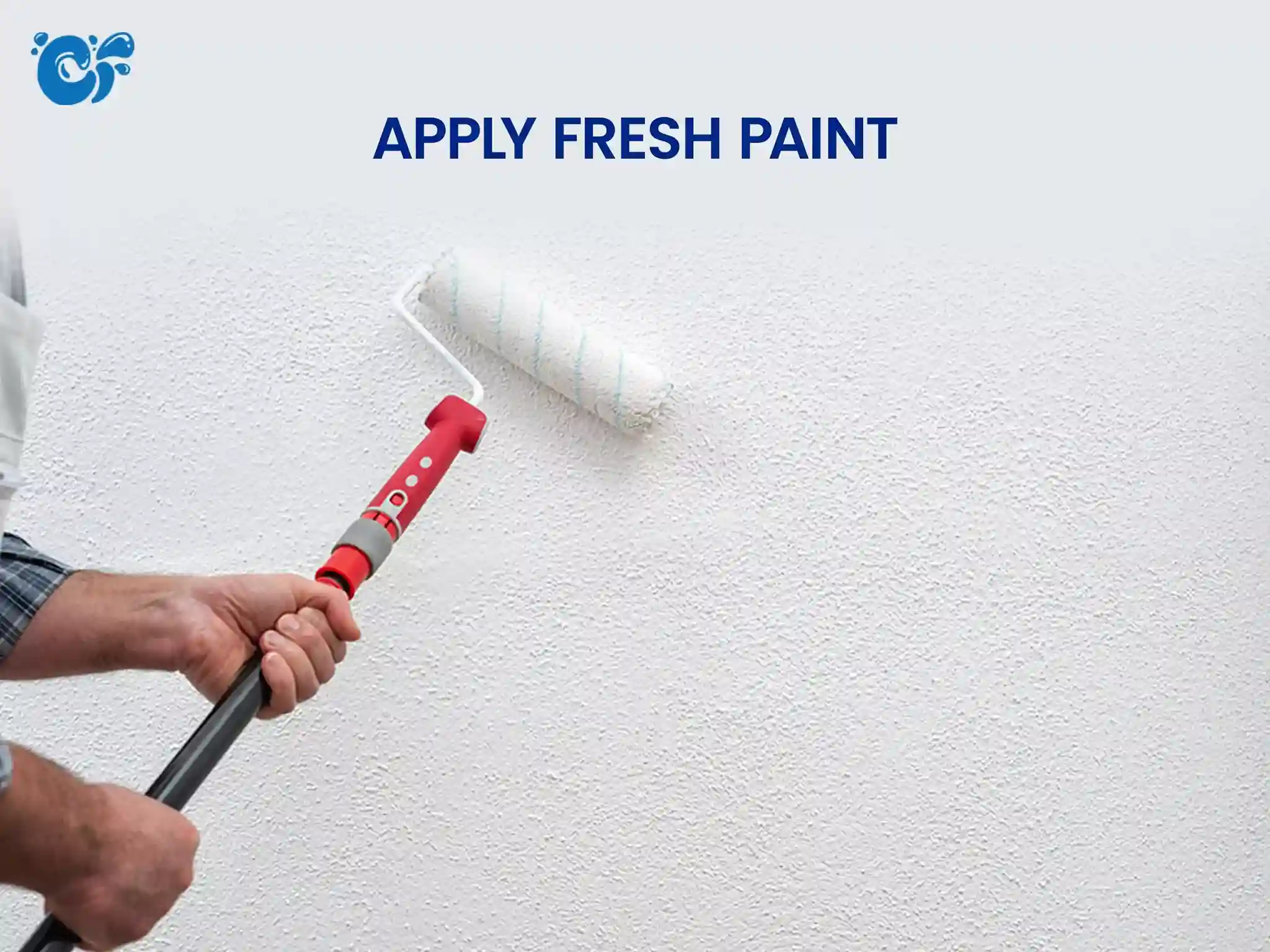 Apply Fresh Paint
