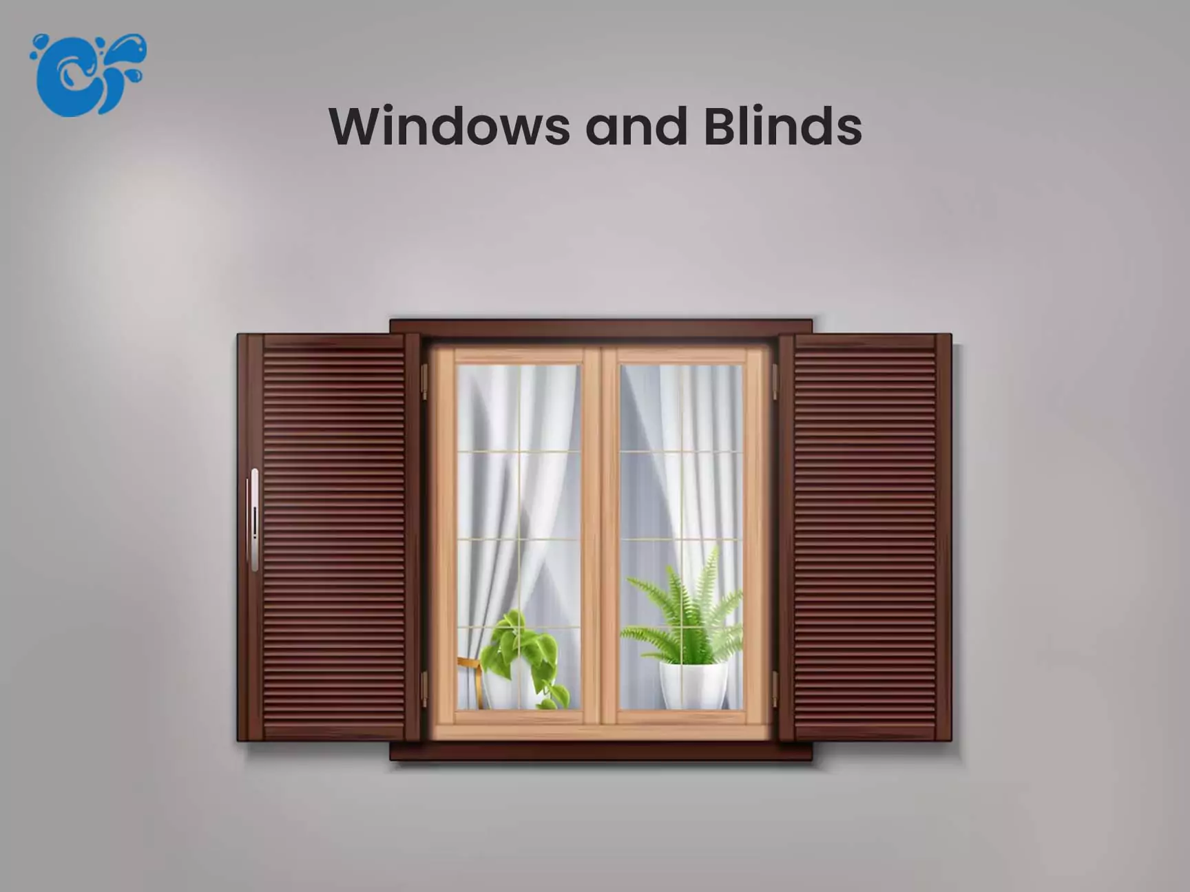 Windows and Blinds