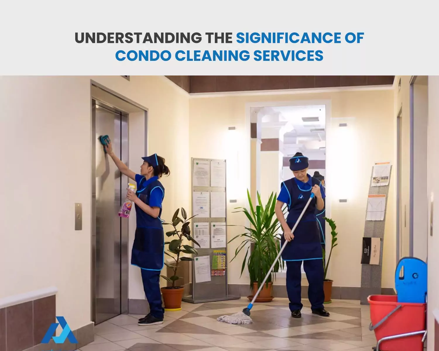 Understanding The Significance Of Condo Cleaning Services